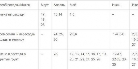 Lunarni kalendar za sadnju sadnica krastavaca 2021